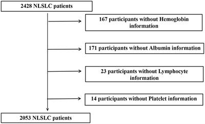 The preoperative hemoglobin, albumin, lymphocyte, and platelet score (HALP) as a prognostic indicator in patients with non-small cell lung cancer